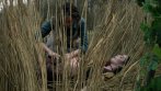 1775 - Malva Christie is discovered assissipated as well as the child she was expecting. Claire is charged with the murder.