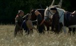 1774 - Jamie agrees to be the Indian agent in the Service of the Crown